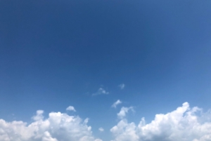 GOFIELDが「READYFOR」実施のパートナー制度に加盟