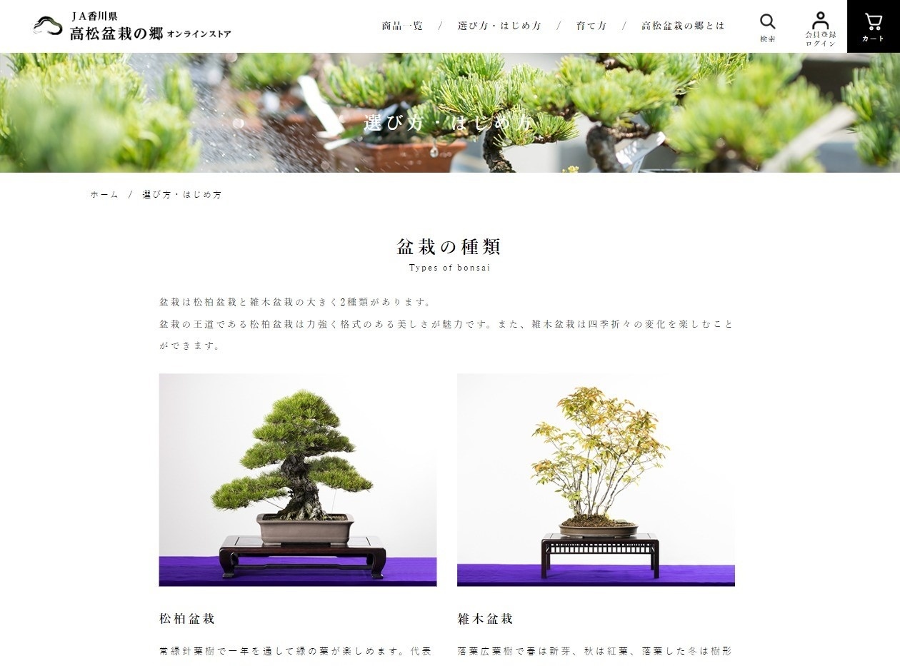 高松盆栽の郷通販サイト 盆栽初心者向けのコンテンツ