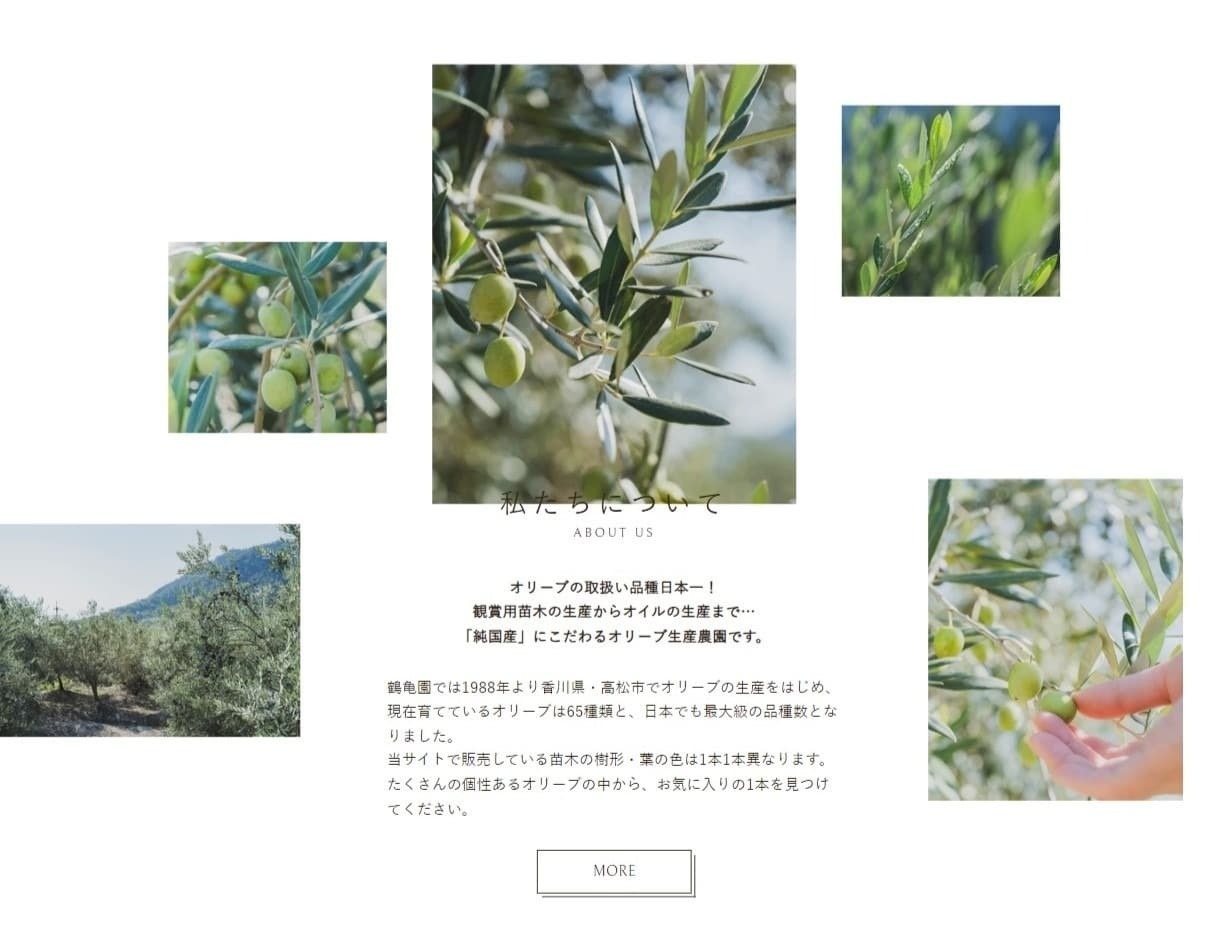 株式会社鶴亀園様 通販サイト