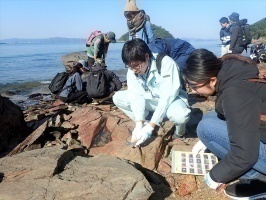 海の生き物観察